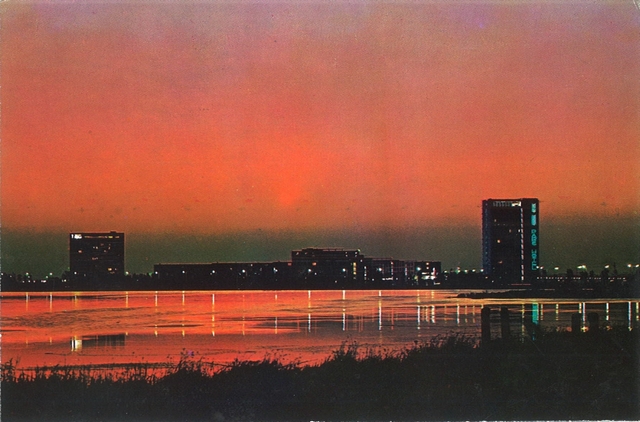 2019 - Seara la Mamaia